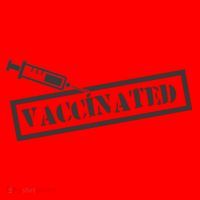 Vaccinated Label Santa Hat thumb 1
