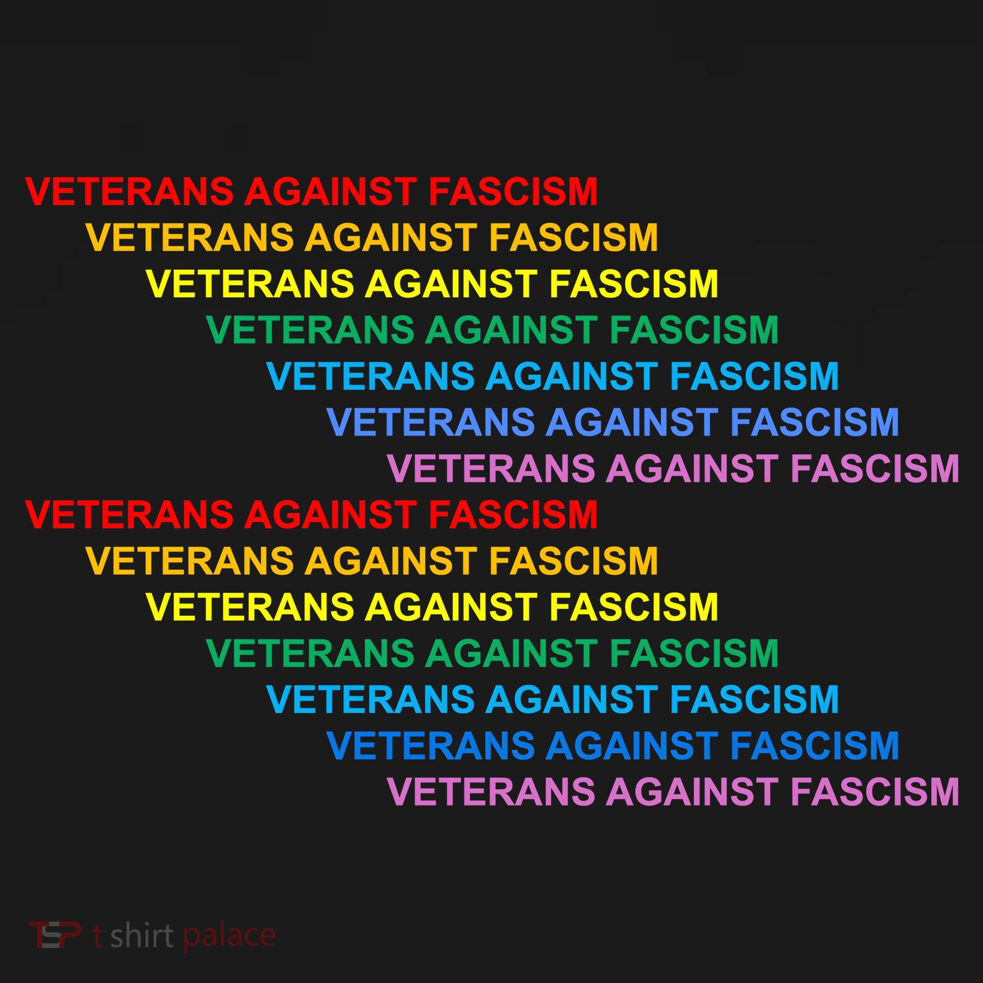 Veterians Against Fascism Long Sleeve Shirt