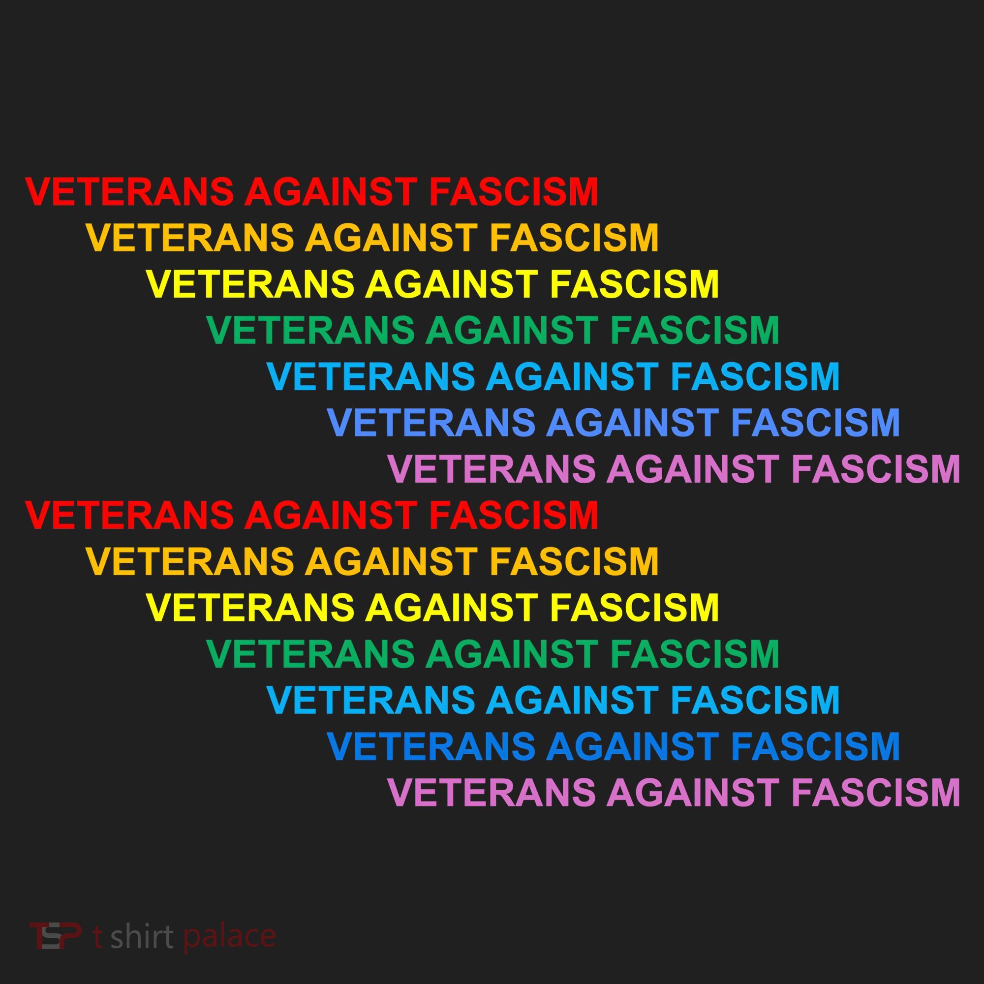 Veterians Against Fascism Beanie