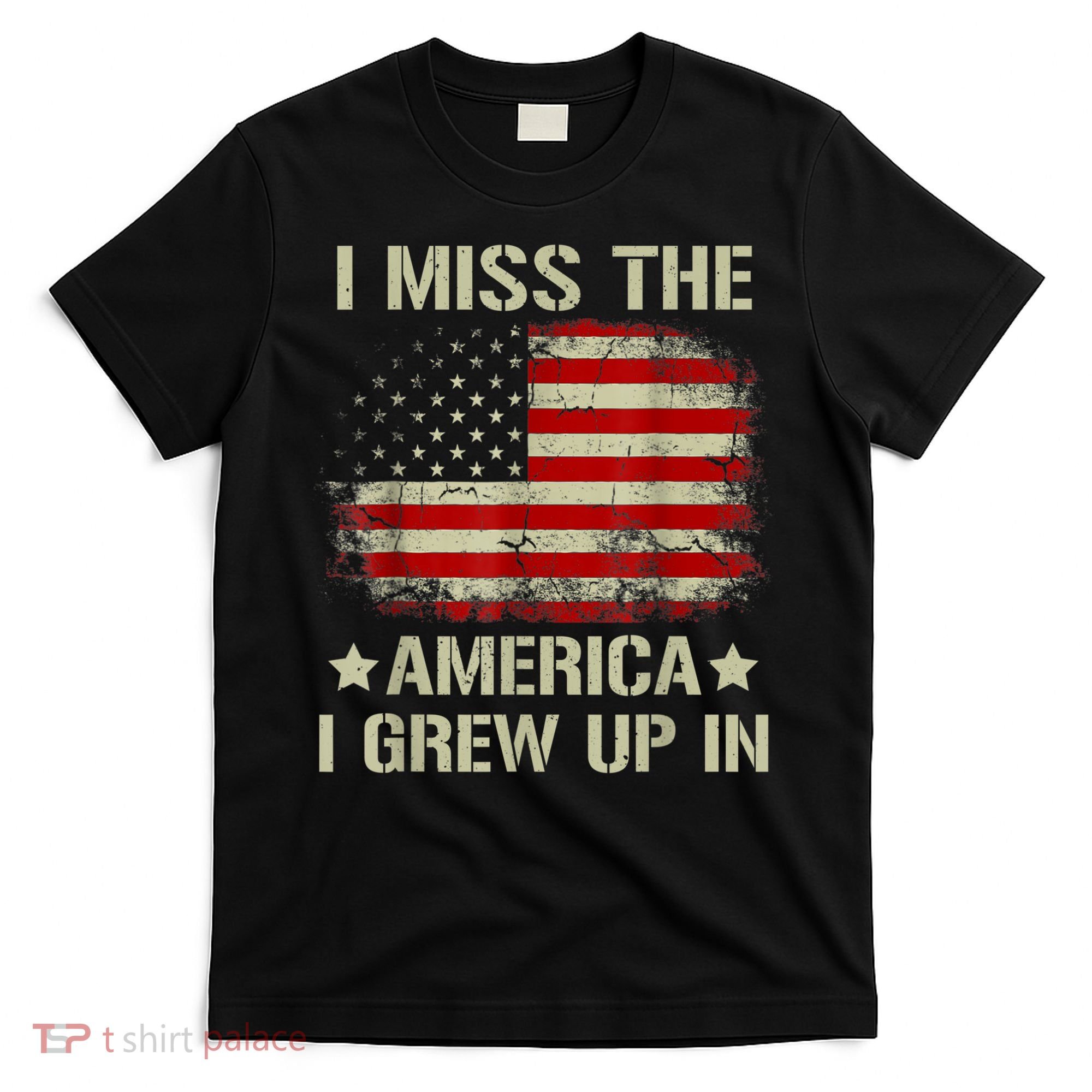 Vintage American Flag I Miss The America I Grew Up In Gift T-Shirt