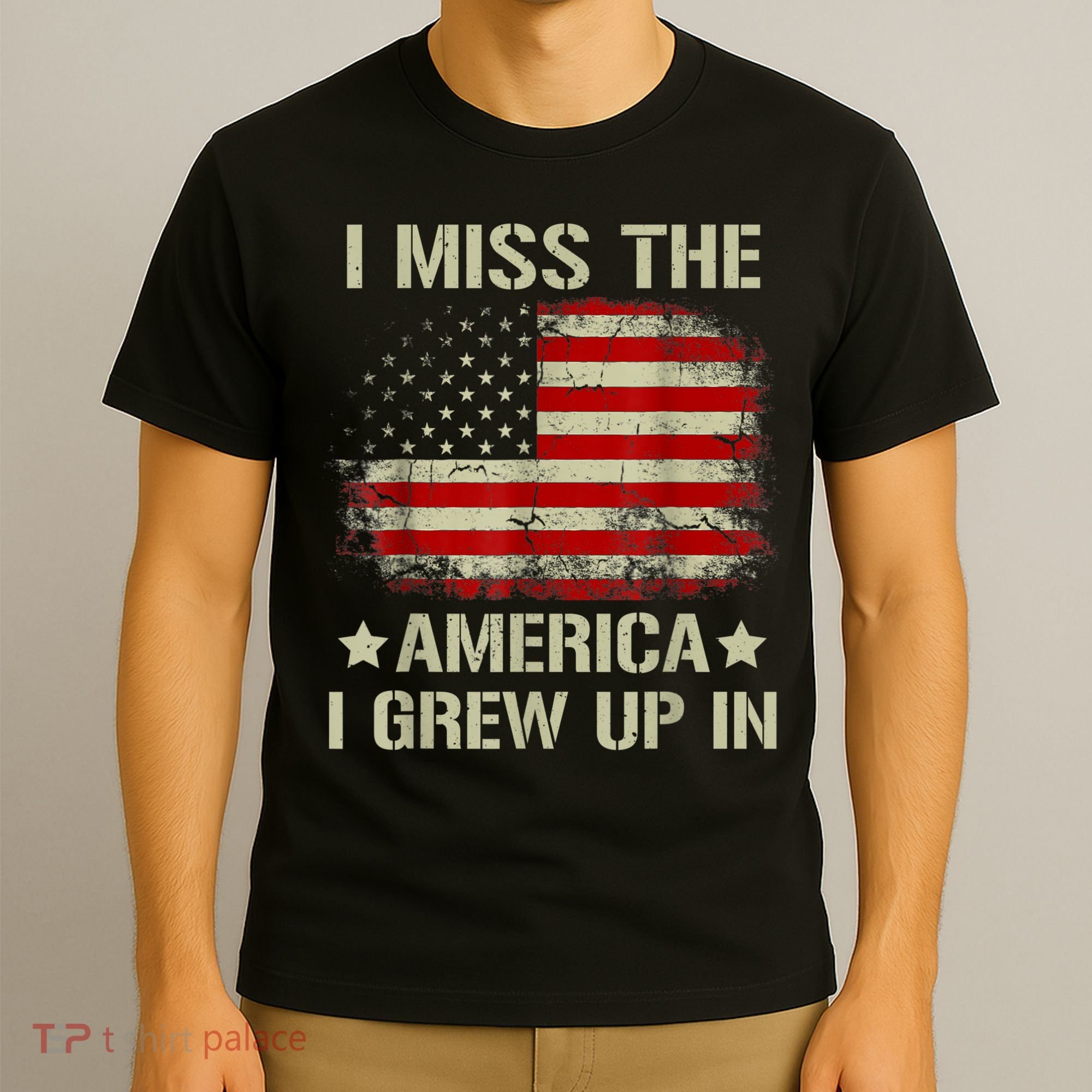 Vintage American Flag I Miss The America I Grew Up In Gift T-Shirt