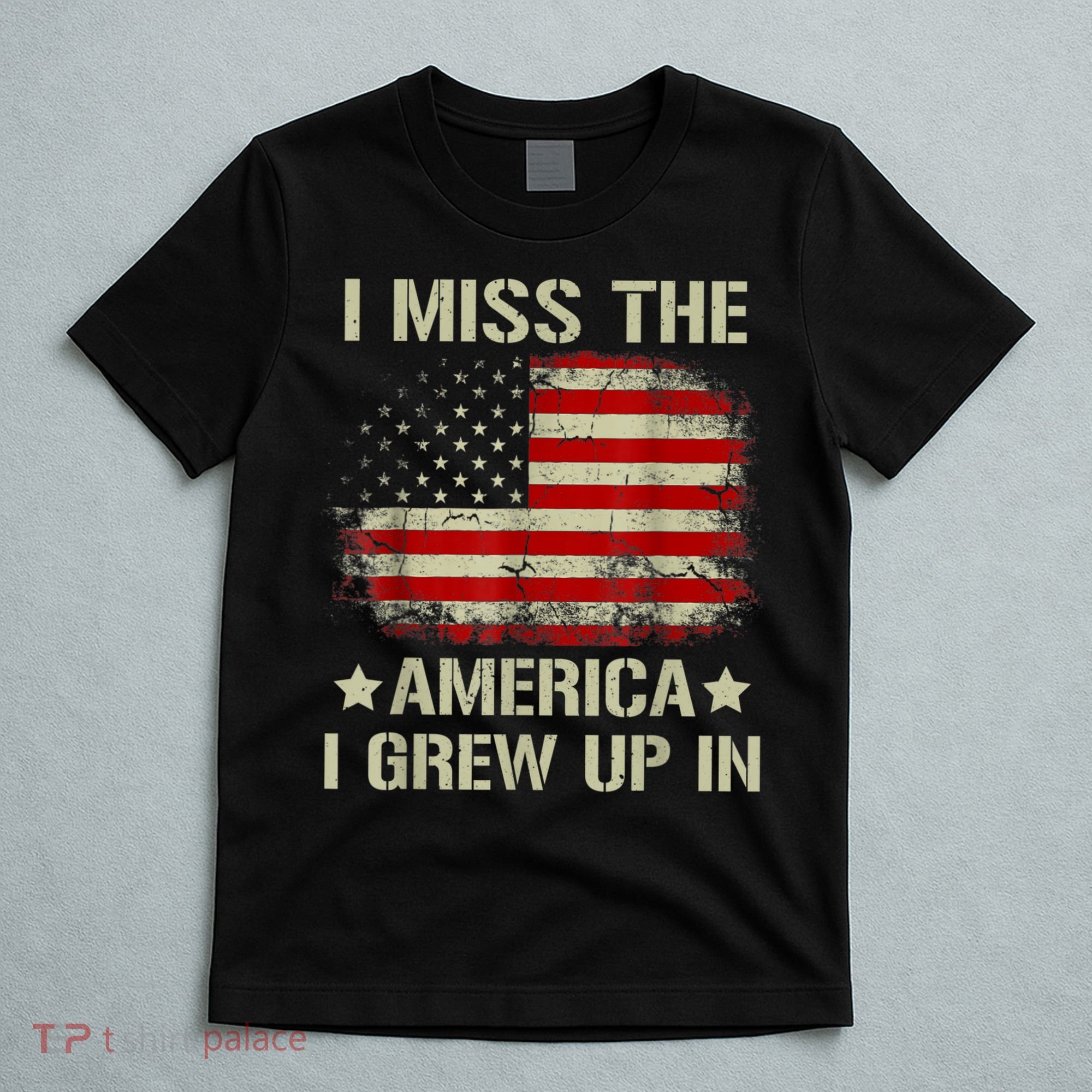 Vintage American Flag I Miss The America I Grew Up In Gift T-Shirt
