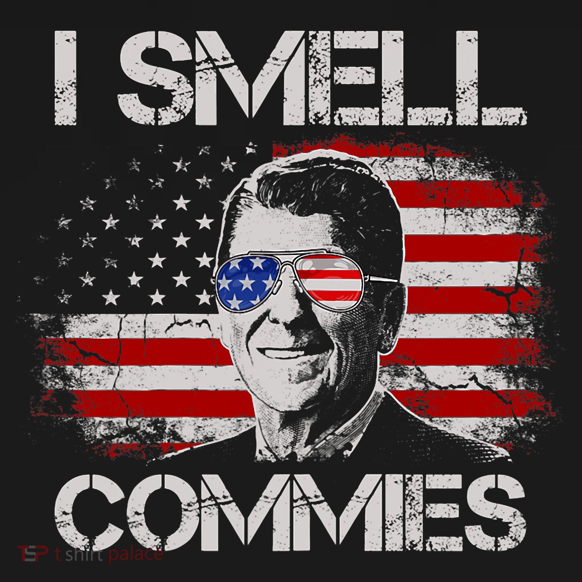 Vintage American Flag Funny Political I Smell Commies T-Shirt