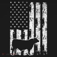 Vintage American Flag USA Cow Black Angus Rancher T-Shirt thumb 7