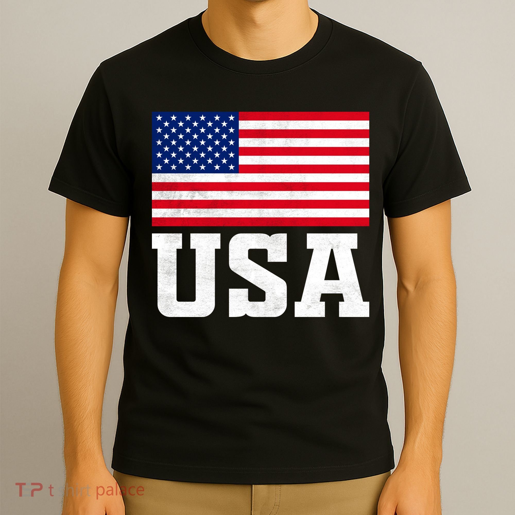 Vintage American Flag Graphic Patriotic Celebrations T-Shirt