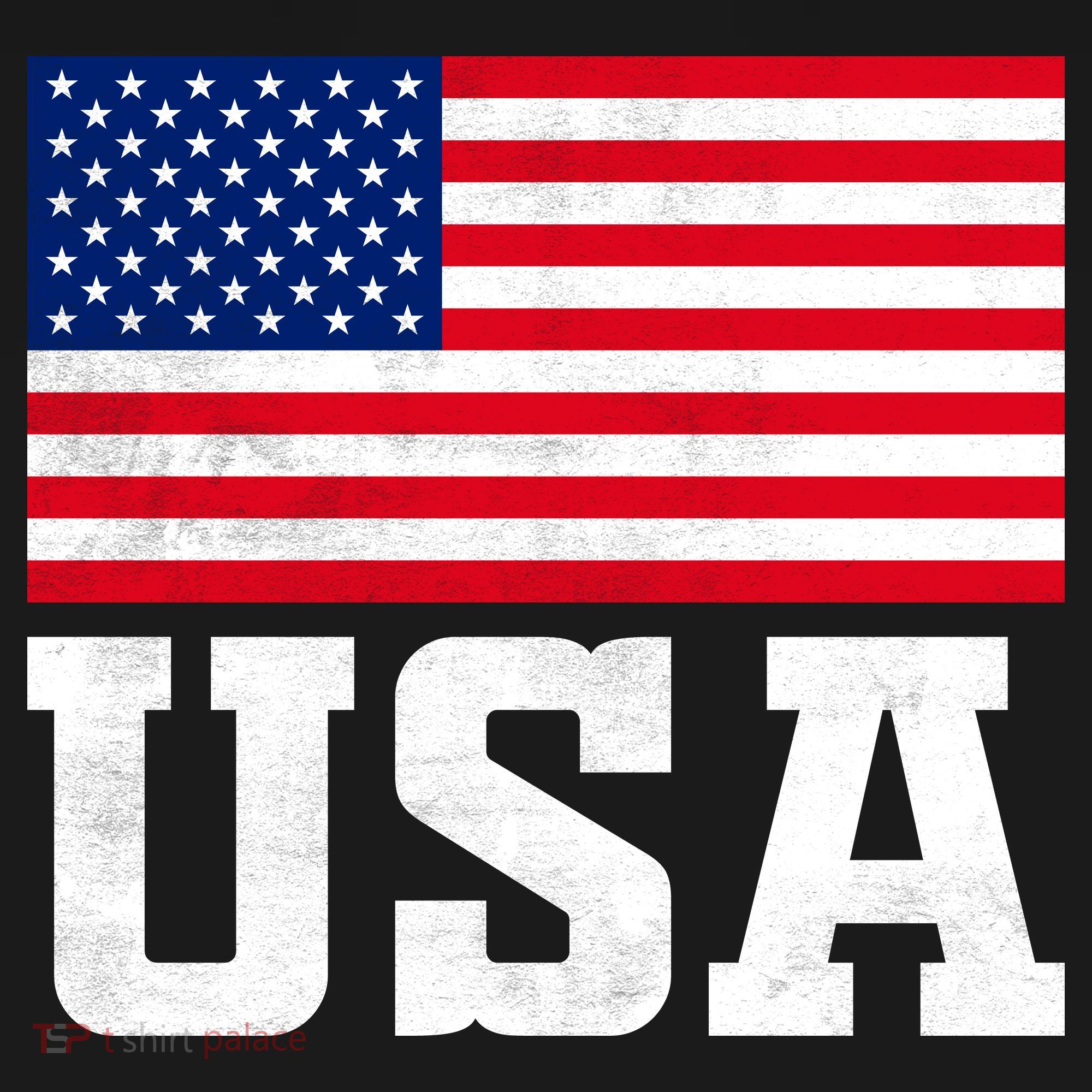 Vintage American Flag Graphic Patriotic Celebrations T-Shirt