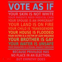 Vote As If Your Skin Is Not White Humans Rights Santa Hat thumb 1
