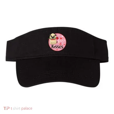 Visor