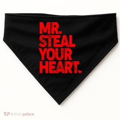 Valentine's Day Mr Steal Your Heart USA-Made Doggie Bandana