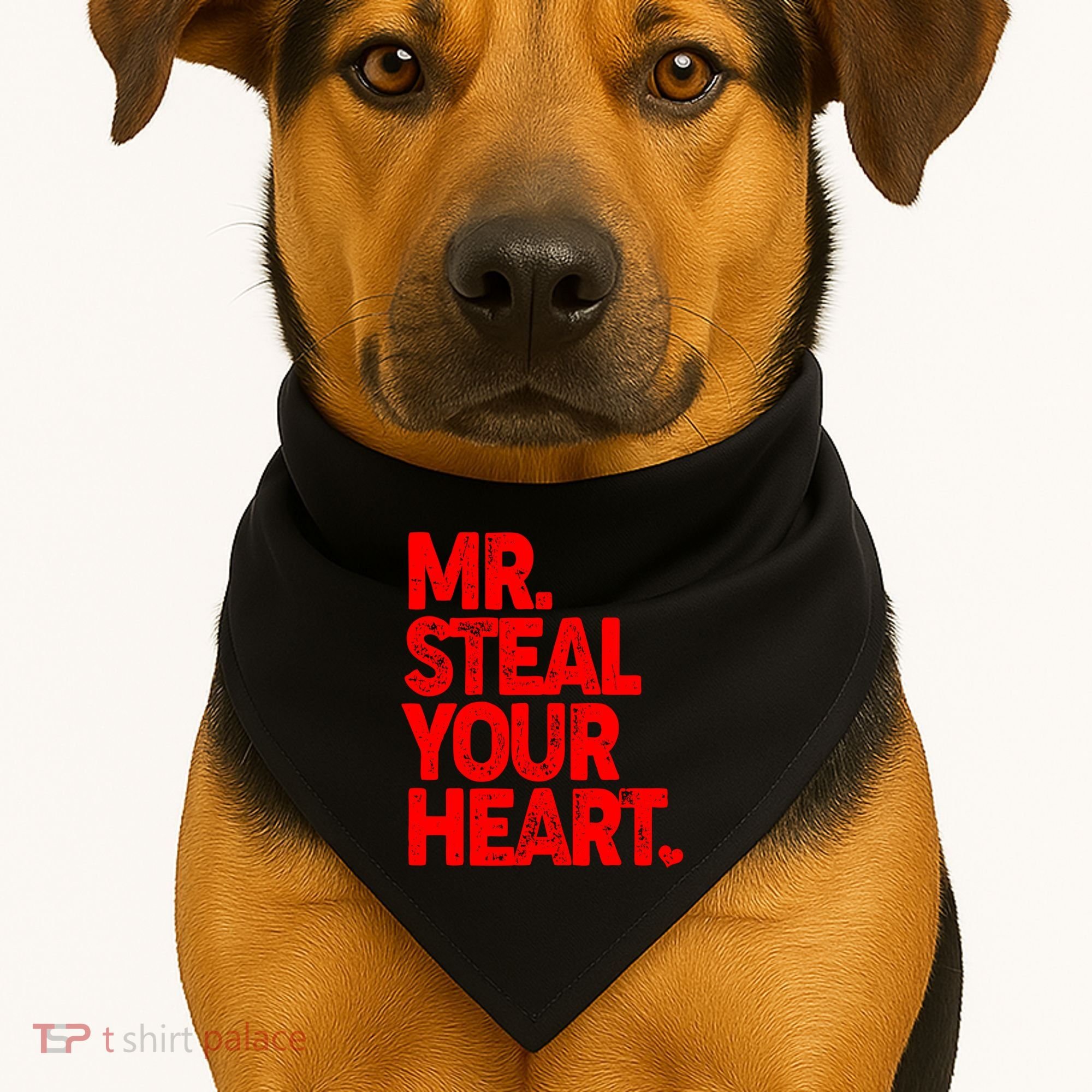 Valentine's Day Mr Steal Your Heart USA-Made Doggie Bandana