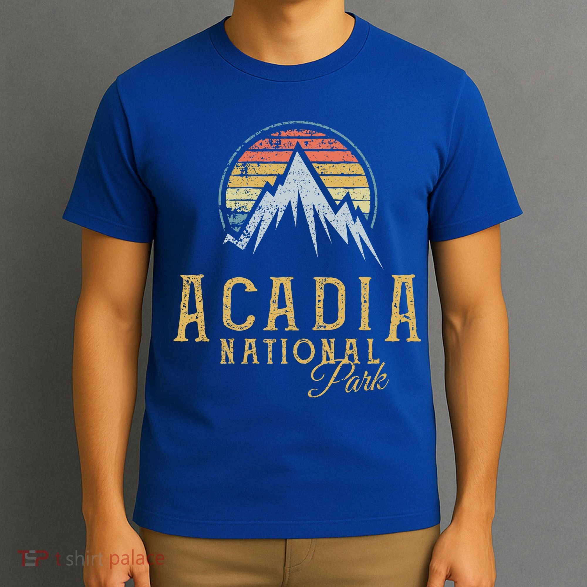 Vintage Acadia National Park Mountains Summit Meaningful Gift T-Shirt