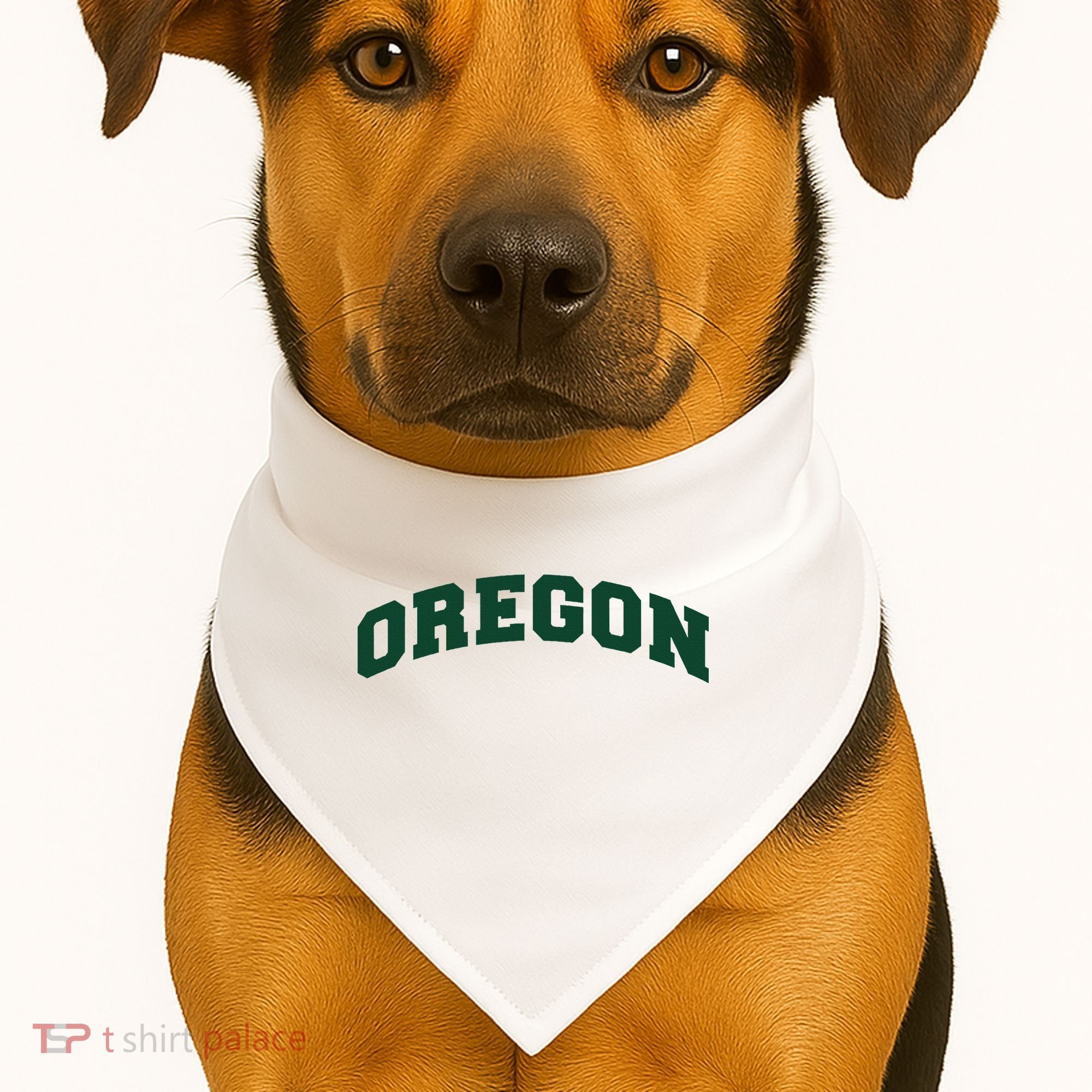 Varsity Arch Oregon USA-Made Doggie Bandana