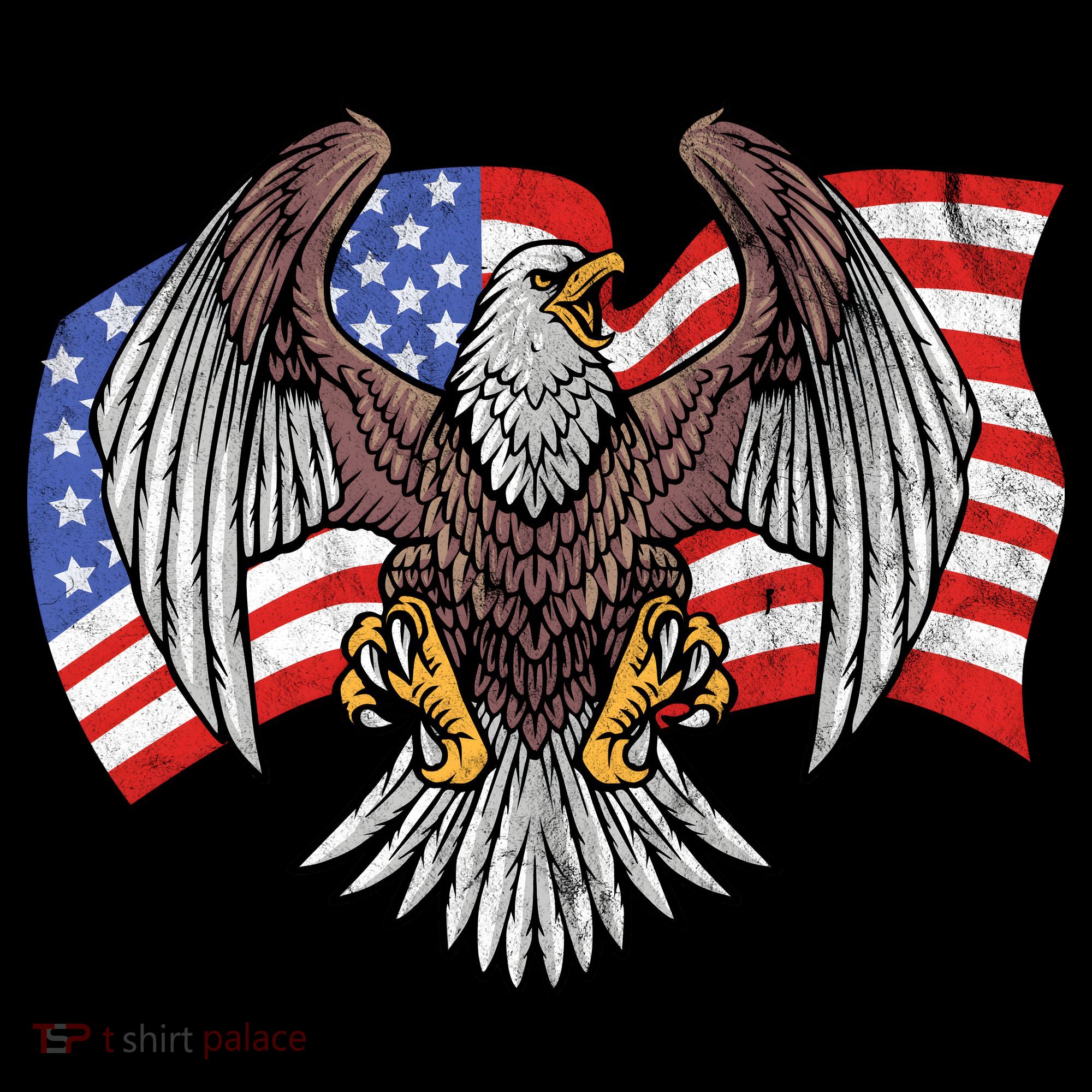 Vintage American Patriotic Eagle T-Shirt