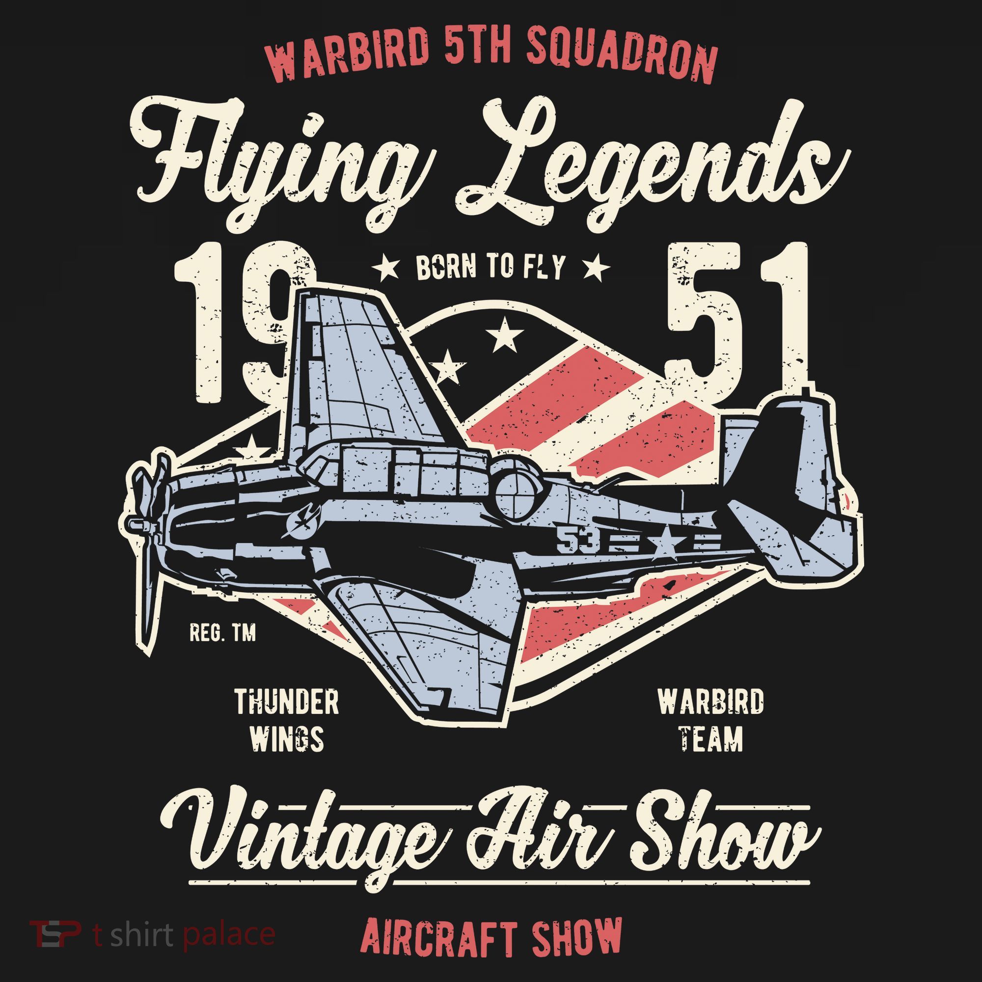 Vintage Air Show Aircraft Show T-Shirt