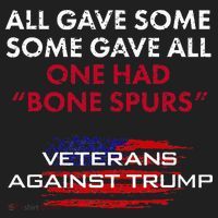 Veterans Anti Trump Draft Dodger Bone Spurs For Vets Beanie thumb 2