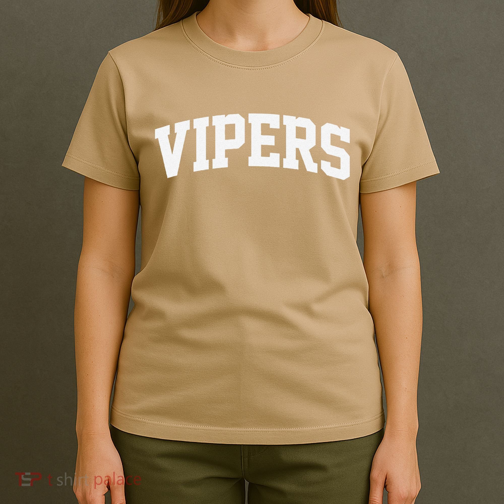 Vipers Arch Vintage Retro College Athletic Sports T-Shirt