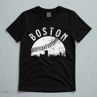 Vintage Baseball Boston Massachusetts Skyline Apparel T-Shirt thumb 5