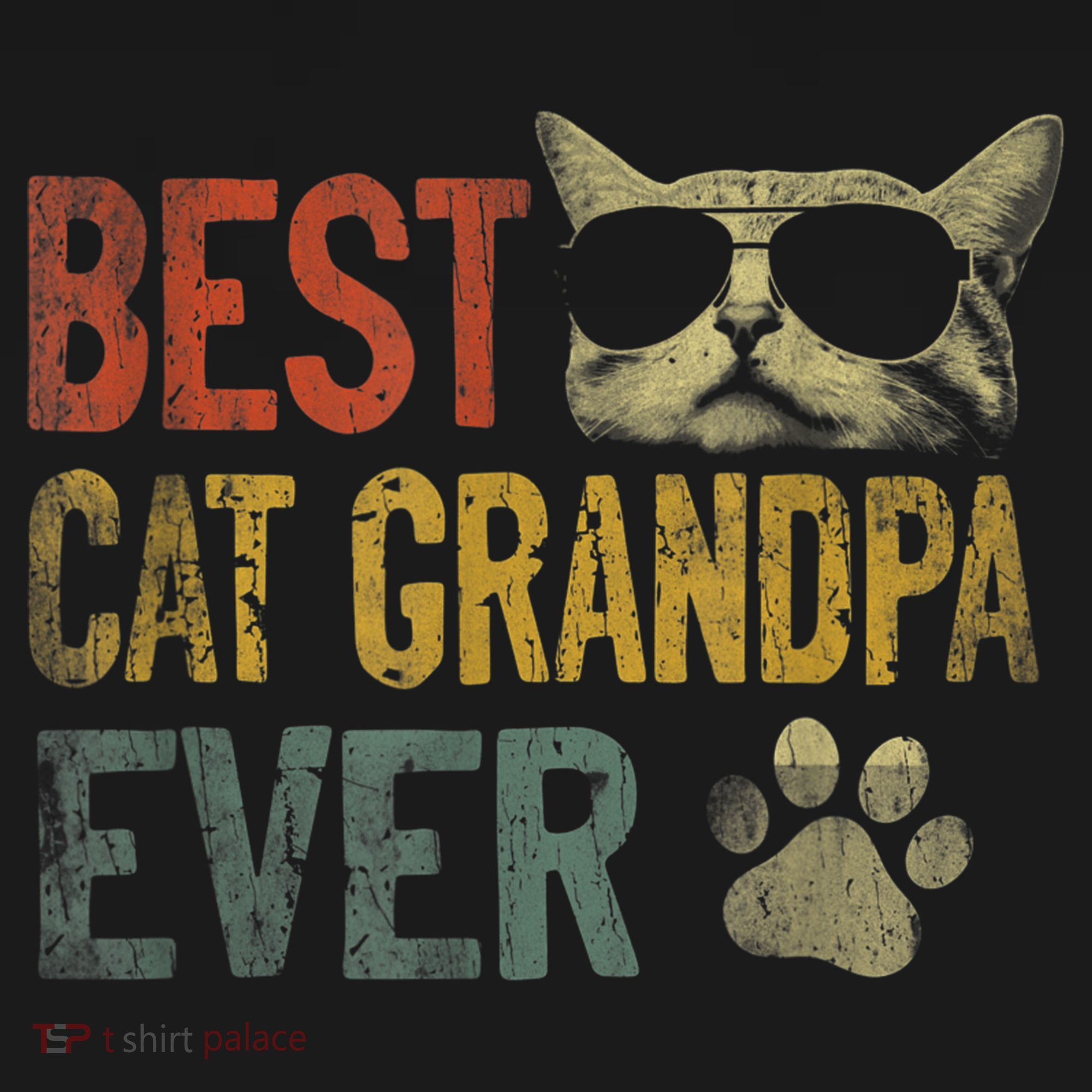 Vintage Best Cat Grandpa Ever TShirt Cat Grandpa Father's D TShirt T-Shirt