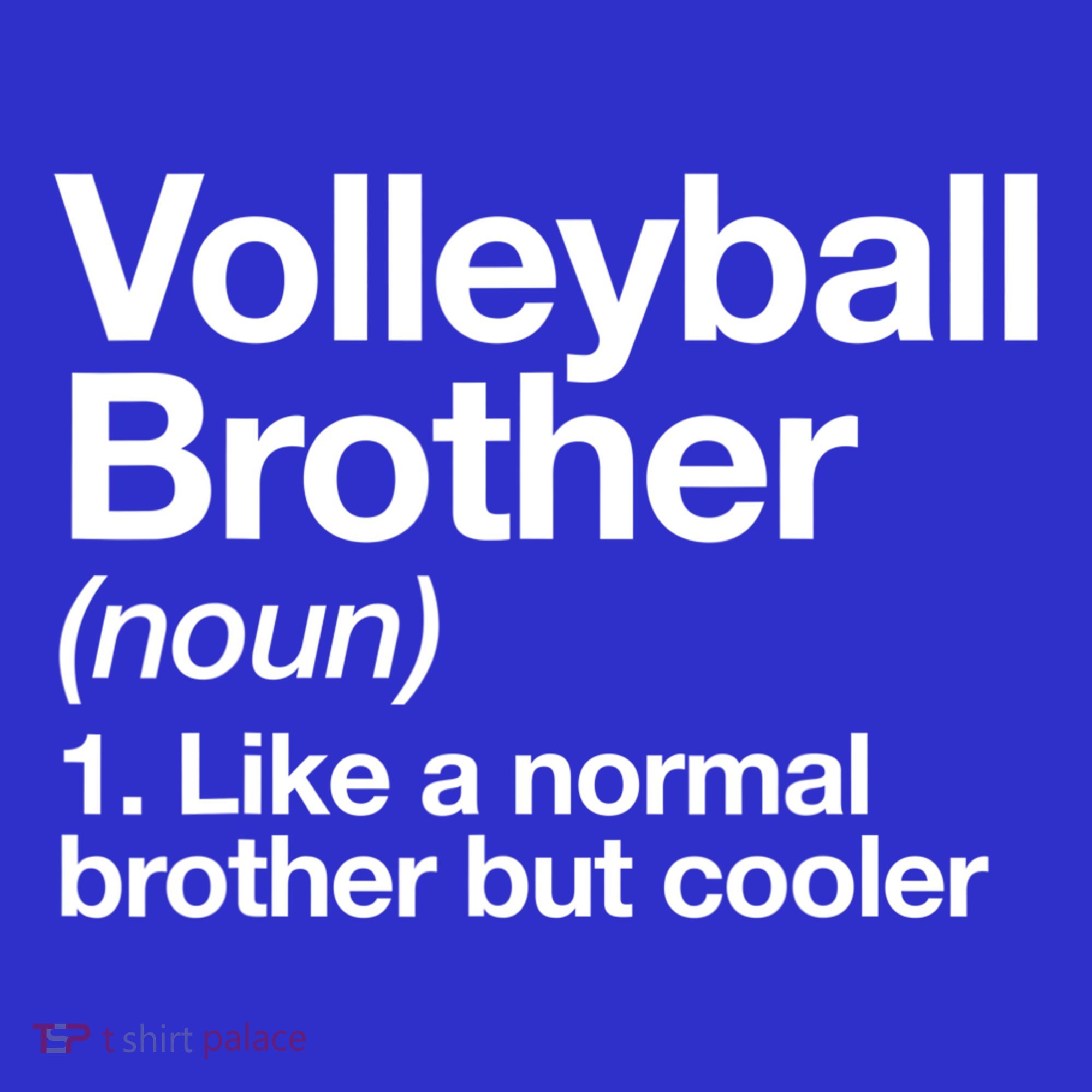 Volleyball Brother Definition Funny Sports Gift Sweatshirt