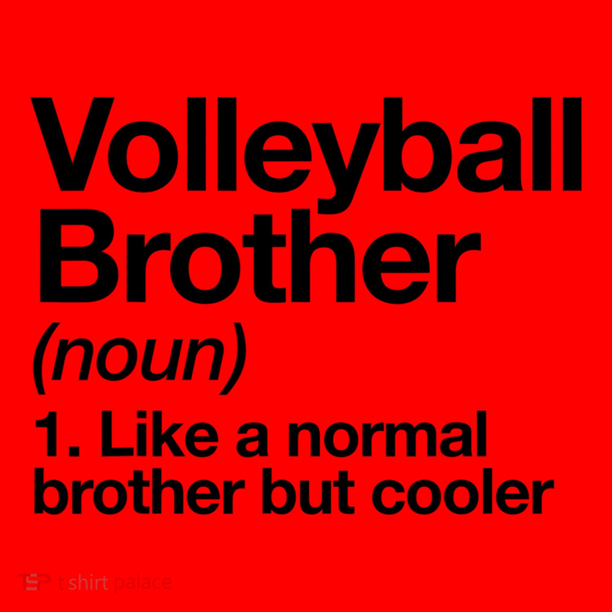 Volleyball Brother Definition Funny Sports Gift Santa Hat