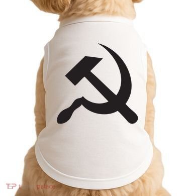 Vitalik Buterin Ethereum Doggie Tank