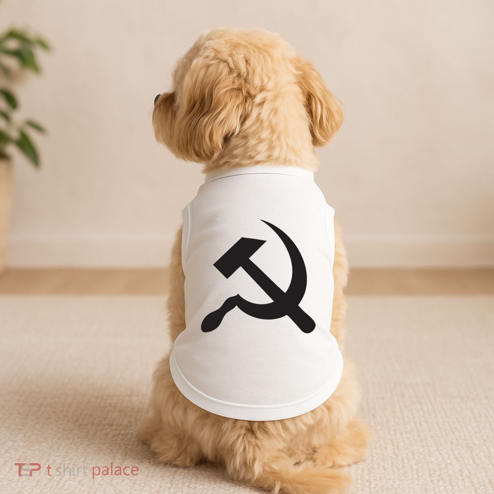 Vitalik Buterin Ethereum Doggie Tank
