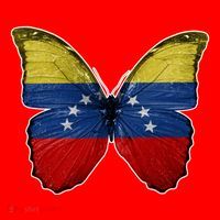 Venezuela Butterfly Flag Pride Venezuelan Flag Roots Funny Gift Santa Hat thumb 1
