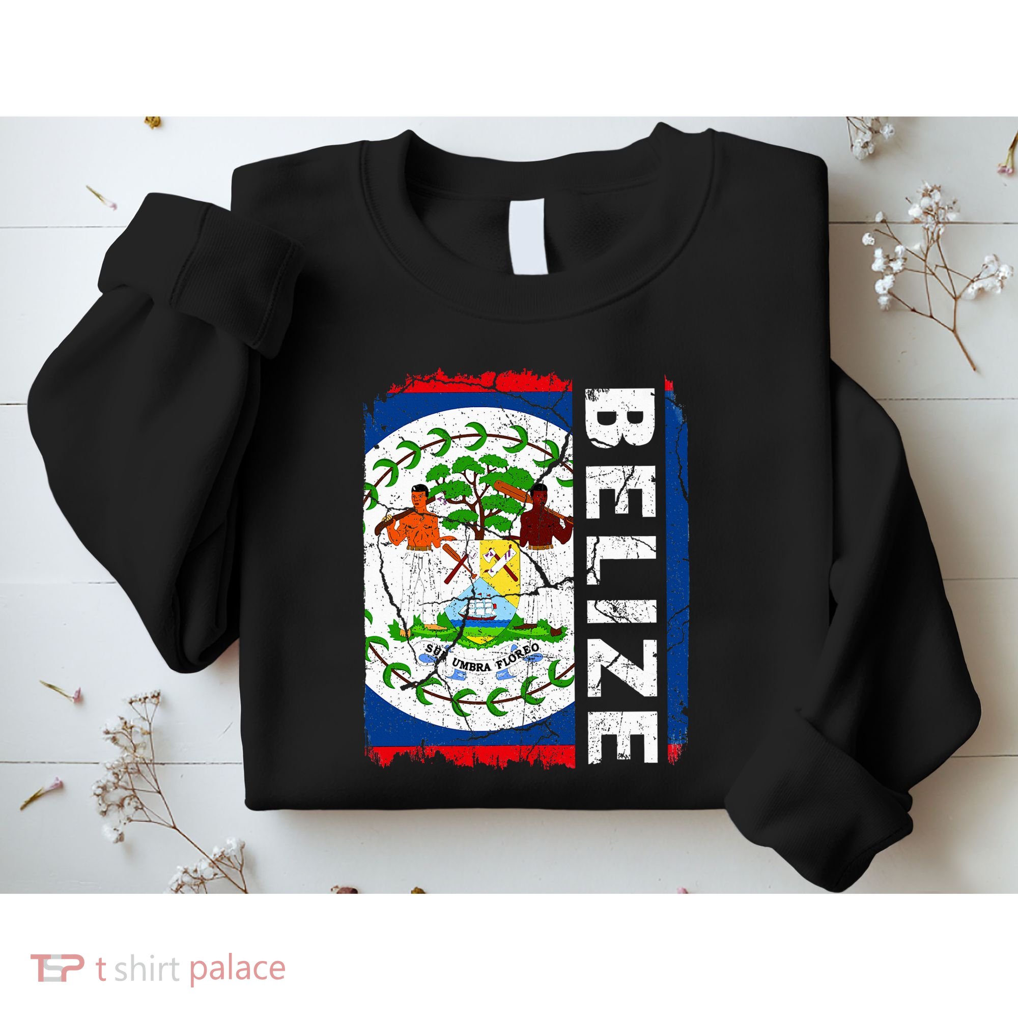 Vintage Belizean Flag Belize Pride Roots Heritage Sweatshirt
