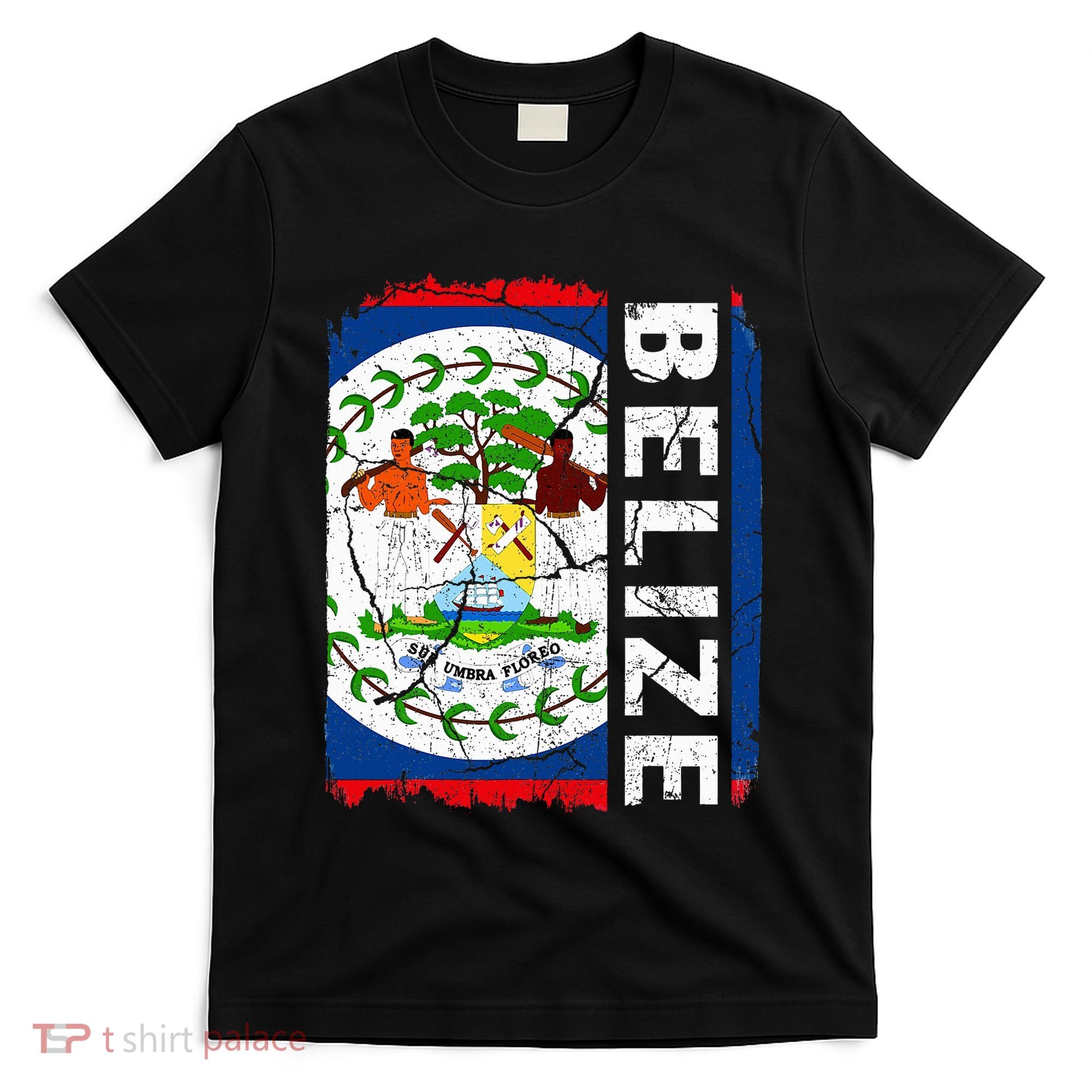 Vintage Belizean Flag Belize Pride Roots Heritage T-Shirt