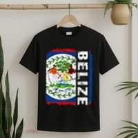 Vintage Belizean Flag Belize Pride Roots Heritage T-Shirt thumb 2