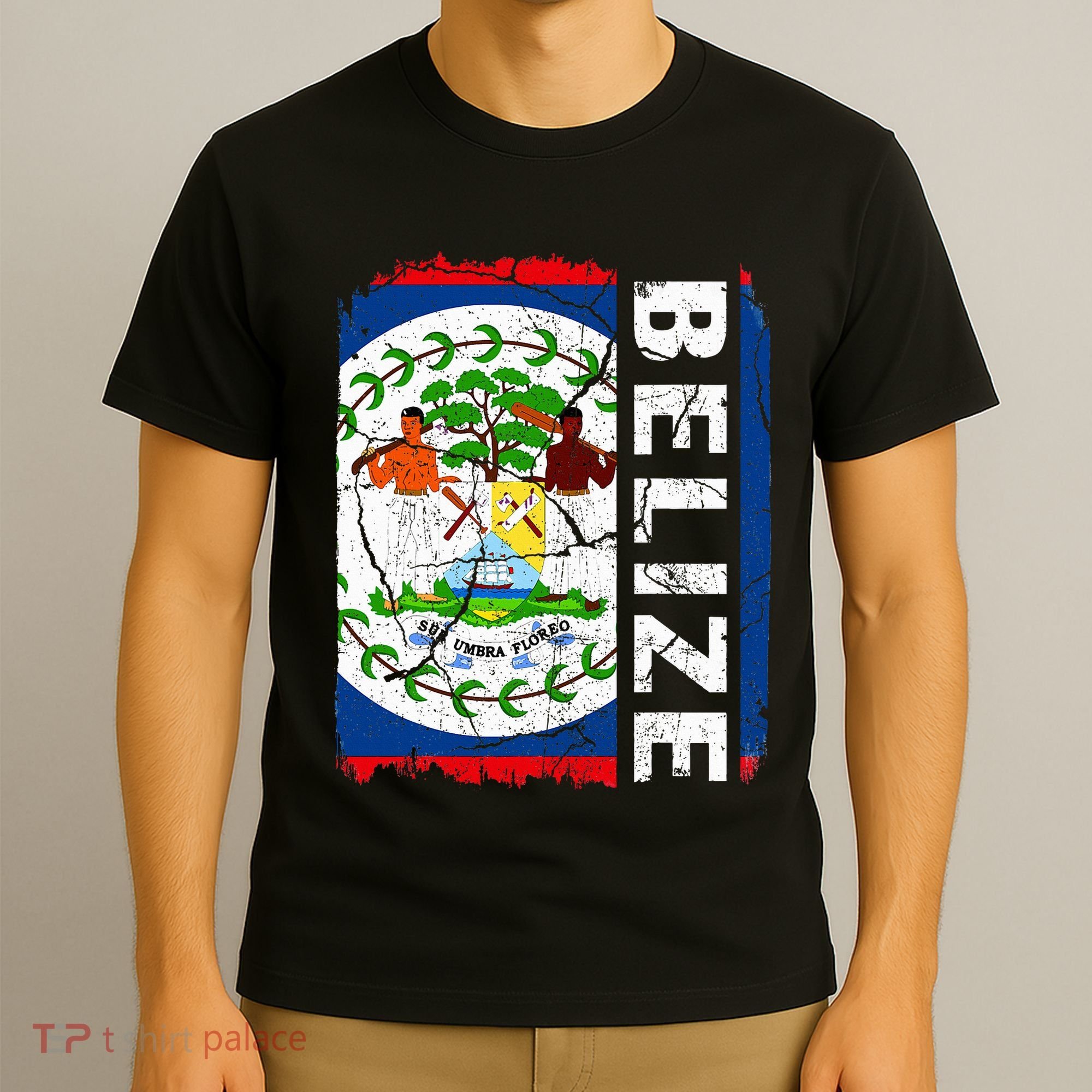 Vintage Belizean Flag Belize Pride Roots Heritage T-Shirt