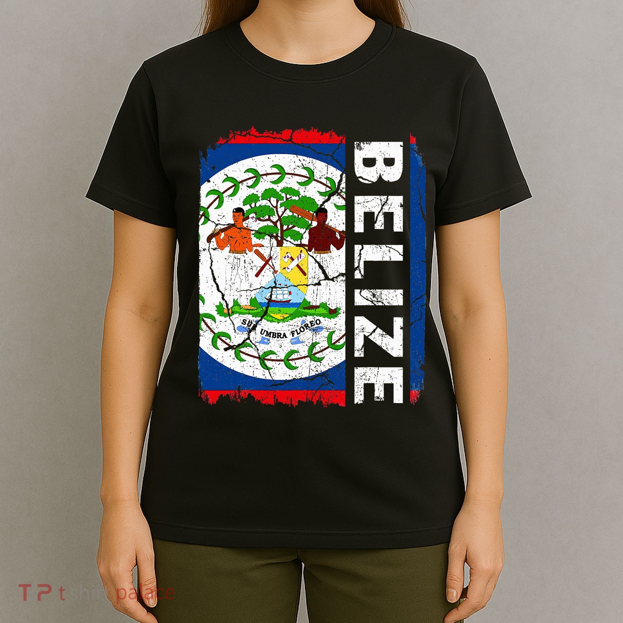 Vintage Belizean Flag Belize Pride Roots Heritage T-Shirt