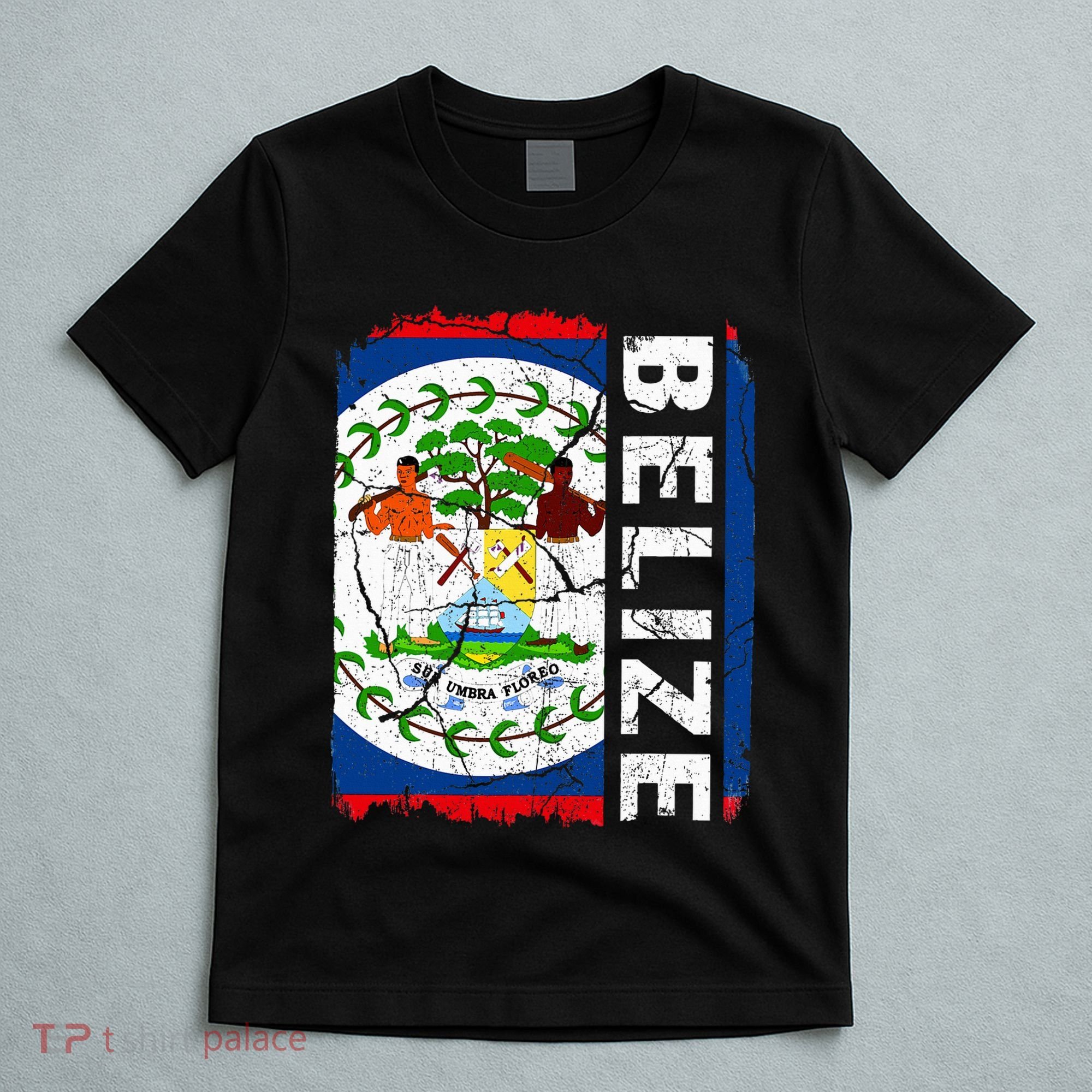 Vintage Belizean Flag Belize Pride Roots Heritage T-Shirt