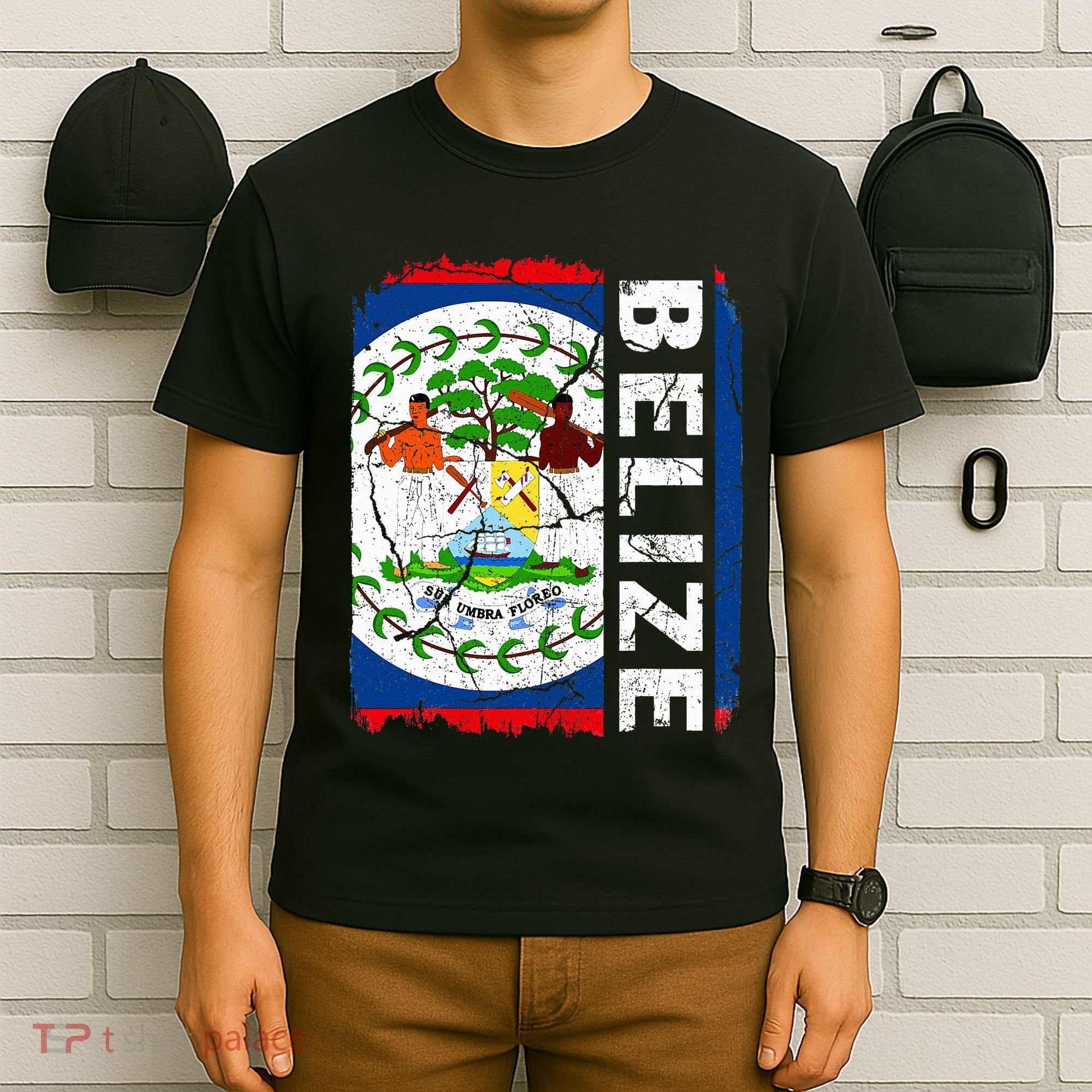 Vintage Belizean Flag Belize Pride Roots Heritage T-Shirt