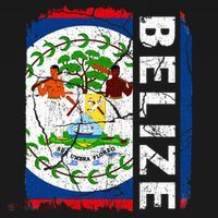 Vintage Belizean Flag Belize Pride Roots Heritage T-Shirt thumb 7
