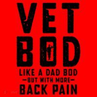 Vet Bod Like A Dad Bod Santa Hat thumb 1