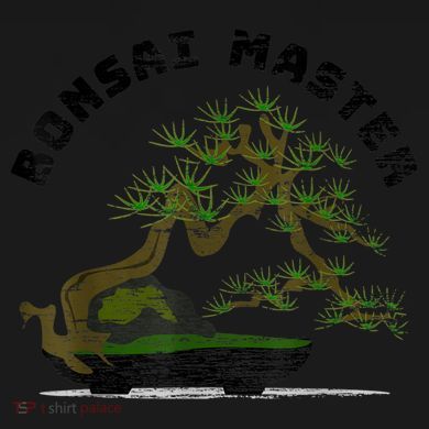 Vintage Bonsai Master Bonsai Tree Women's Hoodie