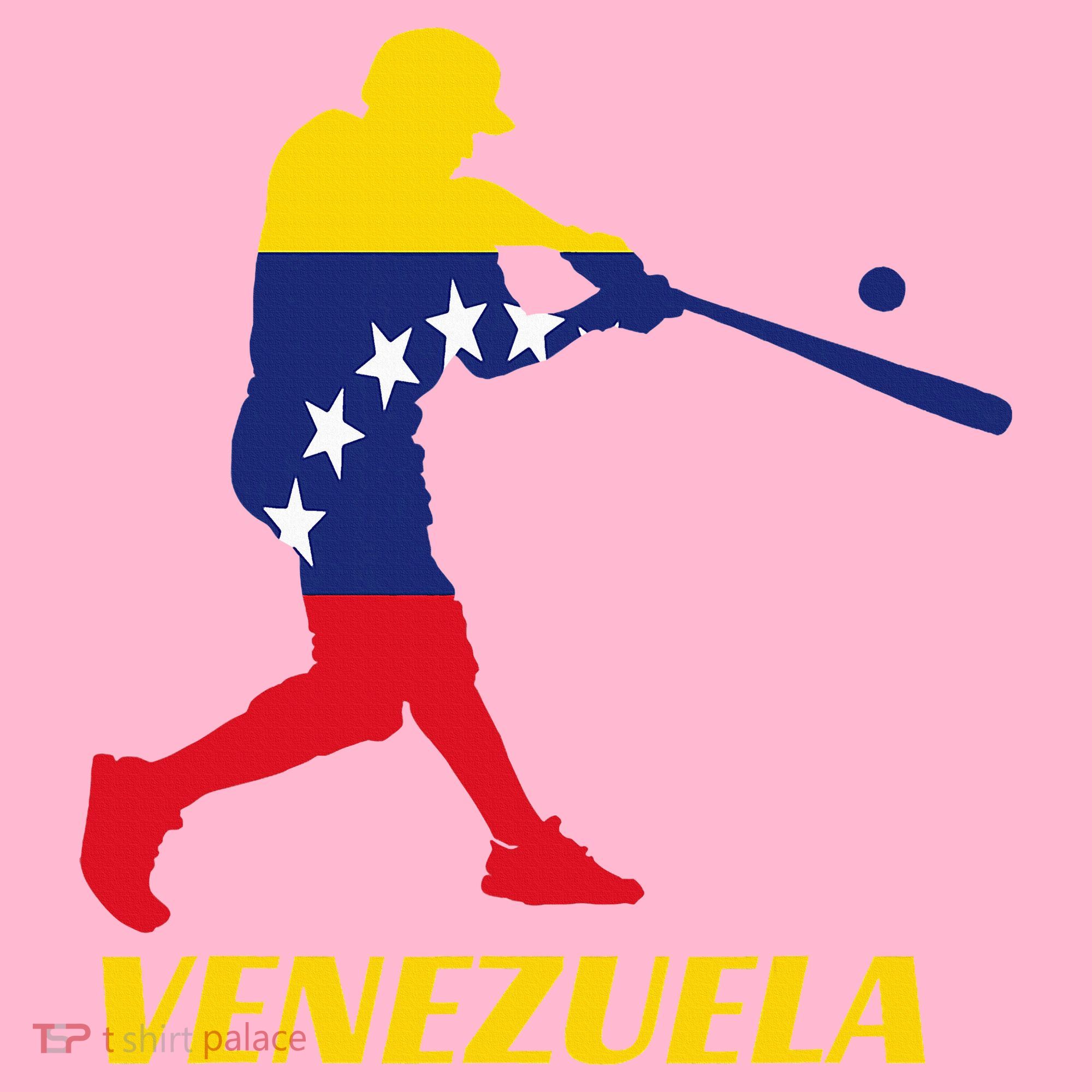 Venezuelan Baseball Player Batter National Team Flag Gift T-Shirt