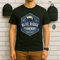 Vintage Blue Ridge Parkway BRP North Carolina and Virginia T-Shirt thumb 6