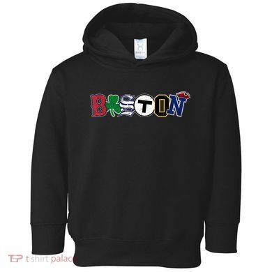 Vintage Boston Sports Fan City Pride TShirt Toddler Hoodie