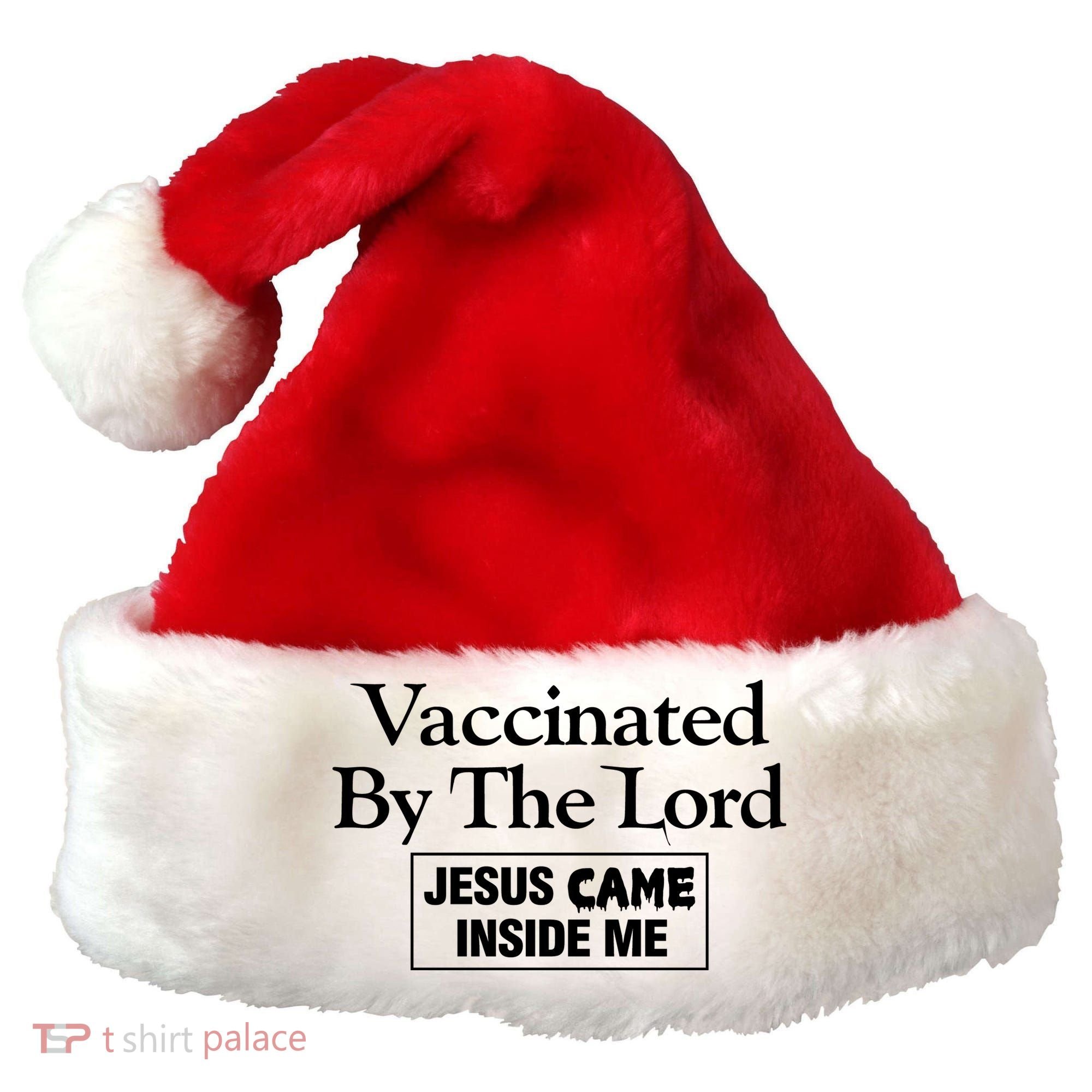 Vaccinated By The Lord Jesus Came Inside Me Santa Hat
