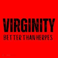 Virginity Better Than Herpes Santa Hat thumb 1
