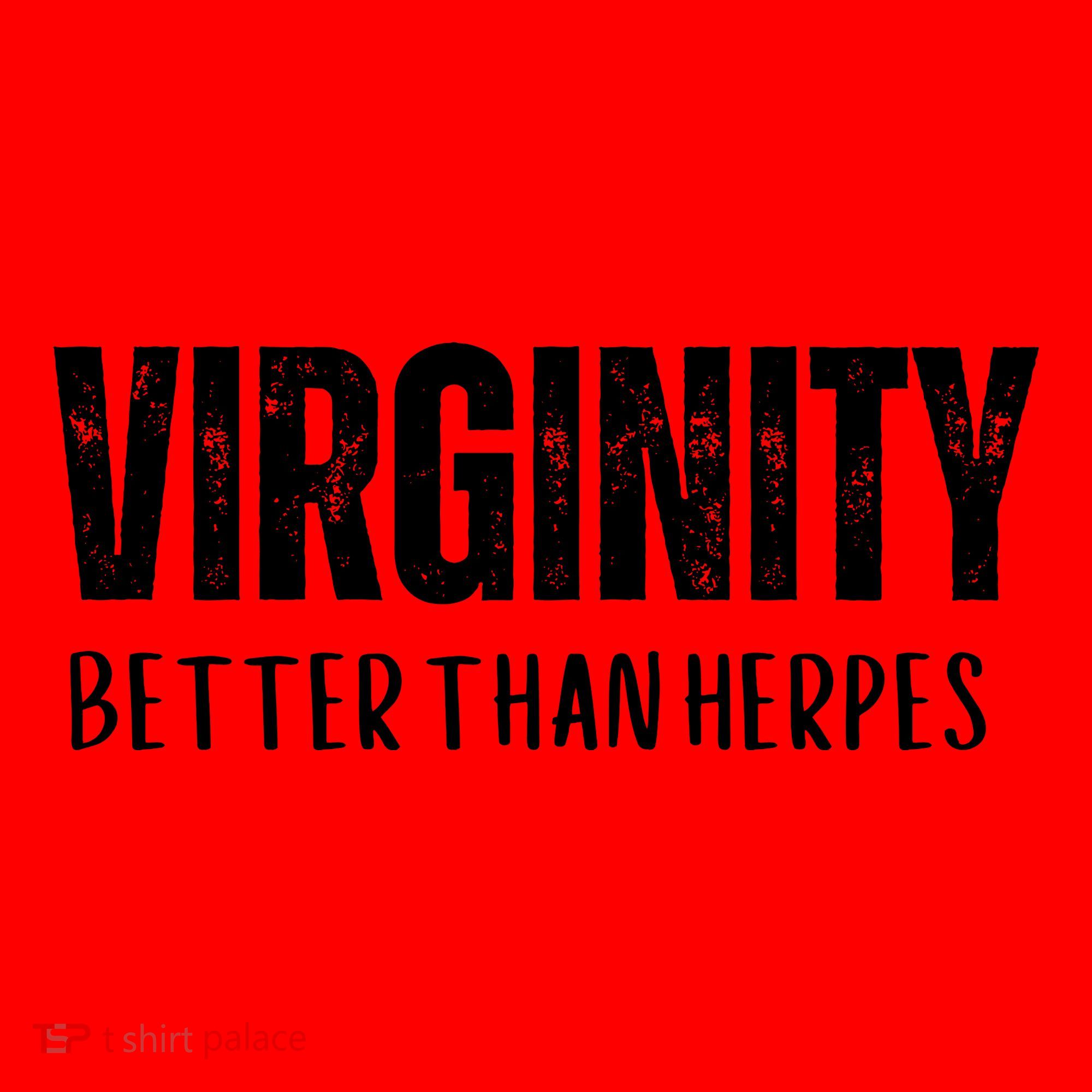 Virginity Better Than Herpes Santa Hat