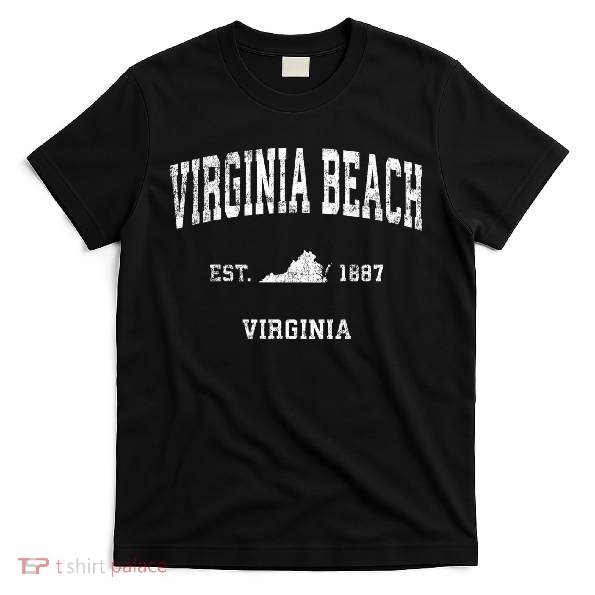 Virginia Beach Virginia Va Vintage Sports T-Shirt