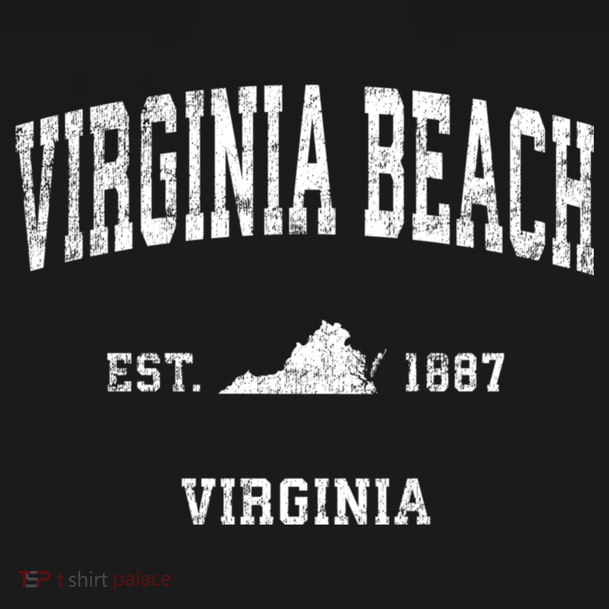 Virginia Beach Virginia Va Vintage Sports T-Shirt