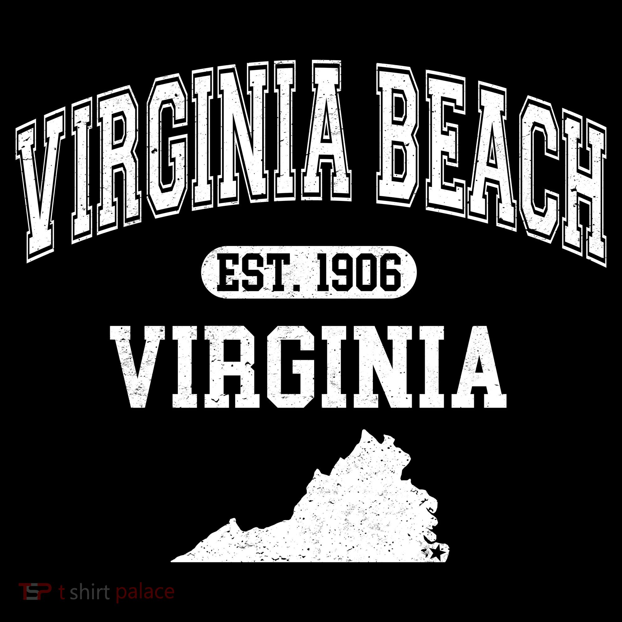 Virginia Beach Virginia Est 1906 Varsity Kids Long Sleeve Shirt