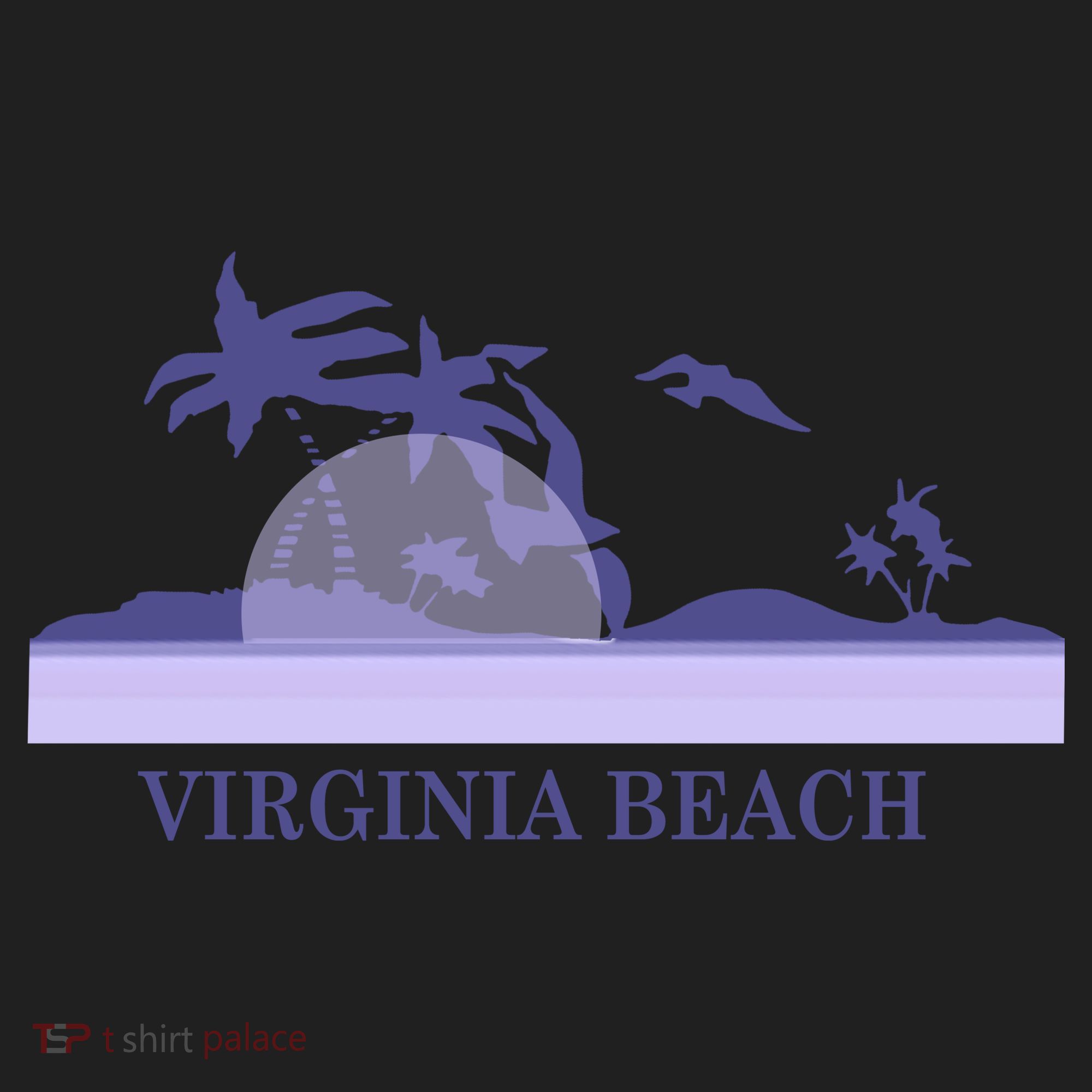 Virginia Beach Women's Sweatshirt