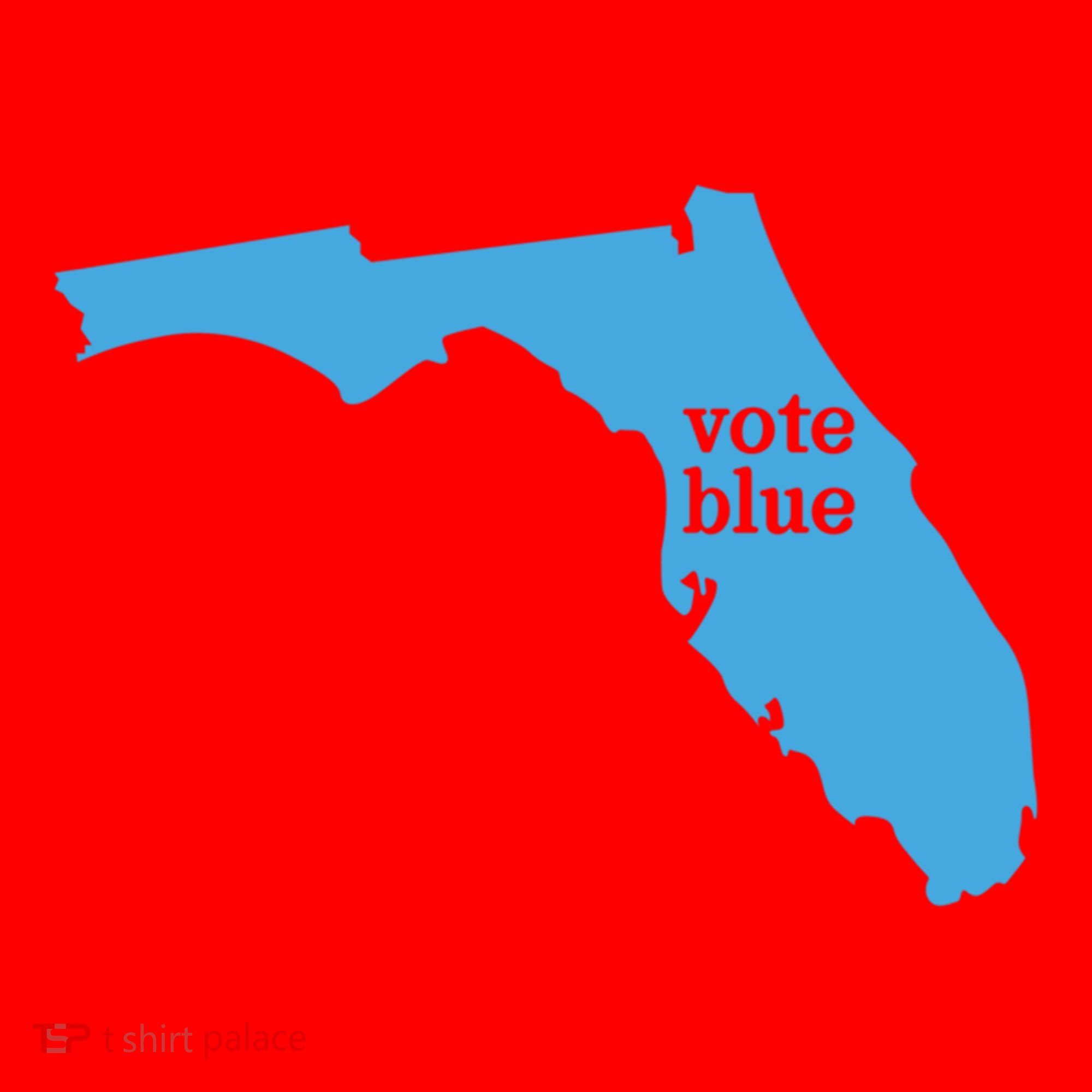 Vote Blue Voting Democratic Florida Cute Gift Santa Hat