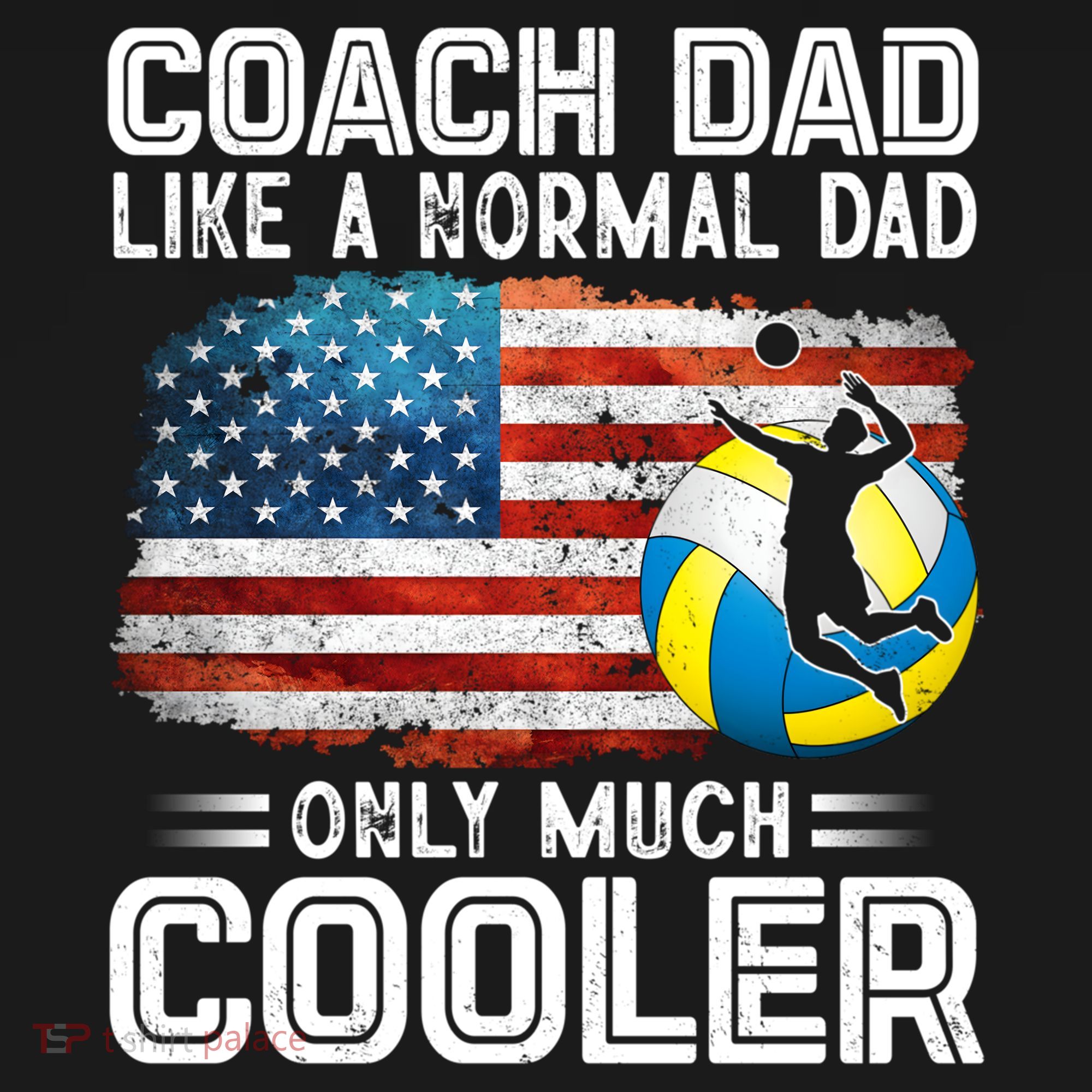 Volleyball Coach Dad Volleyball Players American Flag Gift Ornament