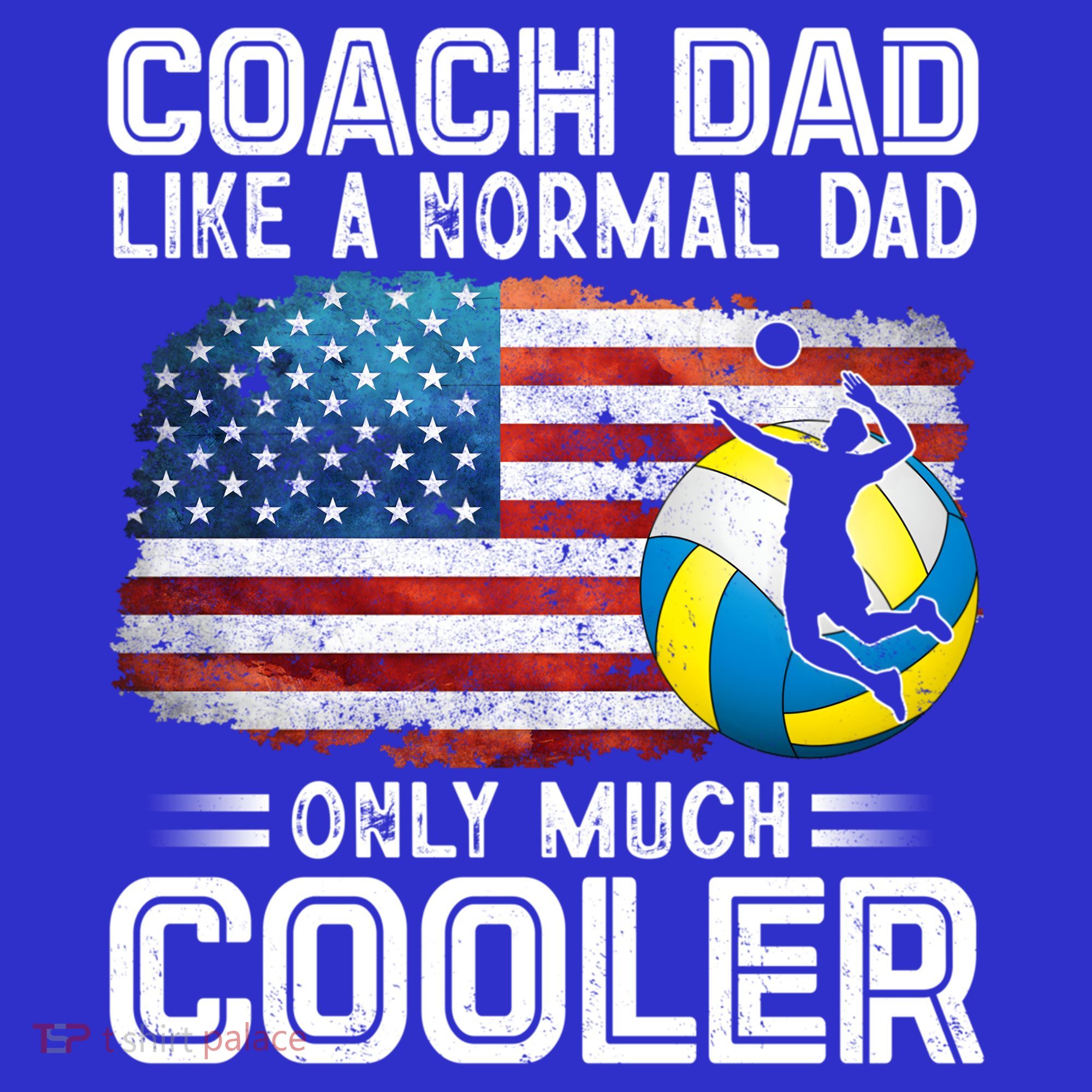 Volleyball Coach Dad Volleyball Players American Flag Gift T-Shirt